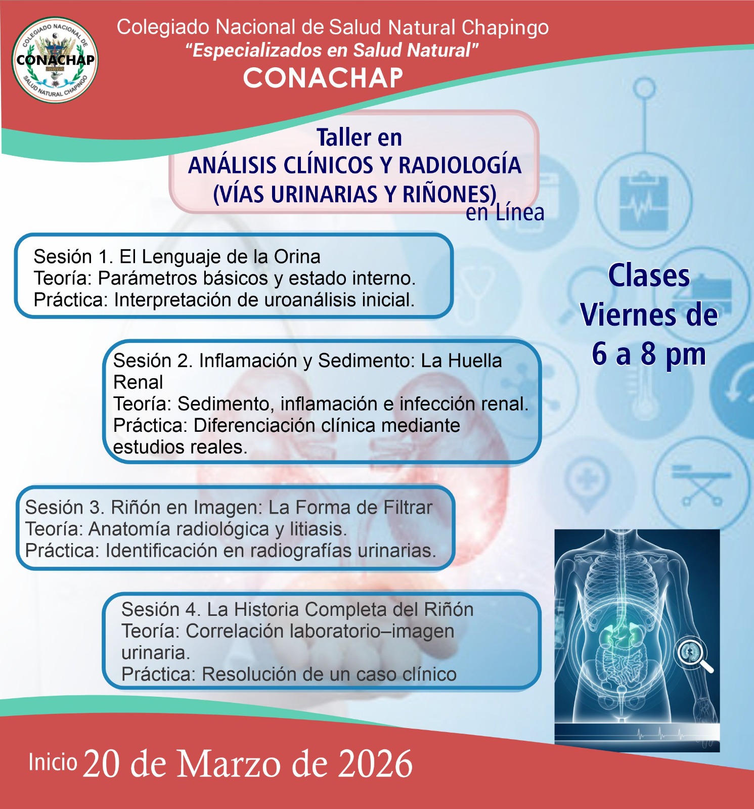 Curso 2